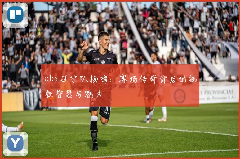 cba辽宁队杨鸣，赛场传奇背后的执教智慧与魅力