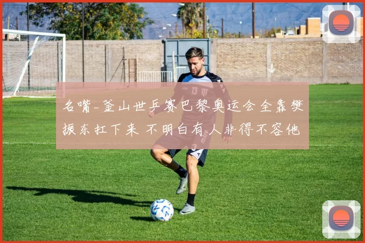 名嘴_釜山世乒赛巴黎奥运会全靠樊振东扛下来 不明白有人非得不容他