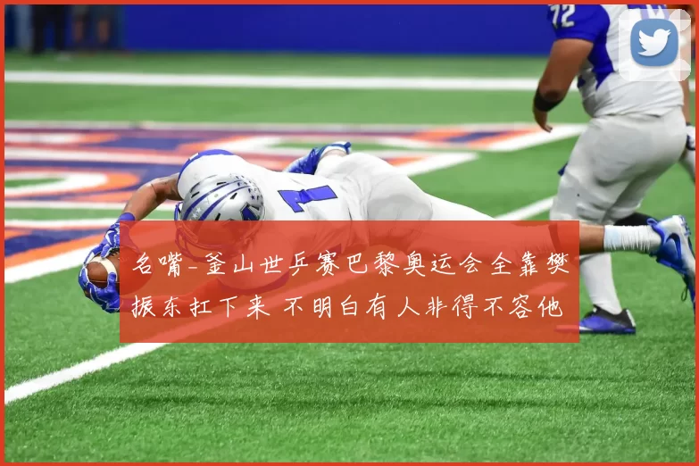 名嘴_釜山世乒赛巴黎奥运会全靠樊振东扛下来 不明白有人非得不容他