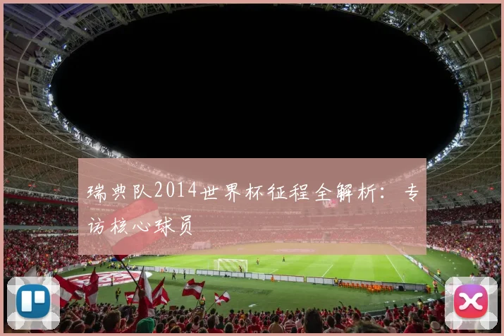 瑞典队2014世界杯征程全解析：专访核心球员
