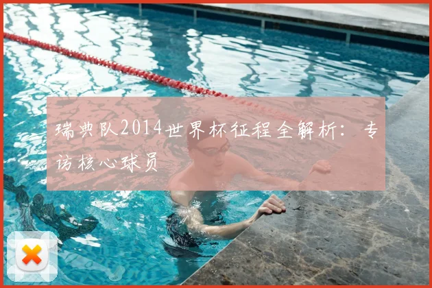 瑞典队2014世界杯征程全解析：专访核心球员