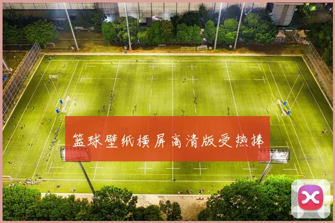 篮球壁纸横屏高清版受热捧